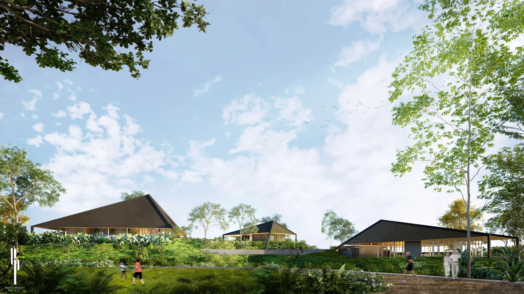 Amenity pavilions and landscape