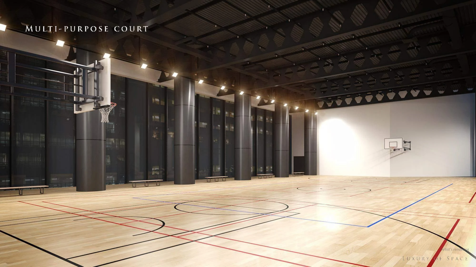 Multi-purpose Court