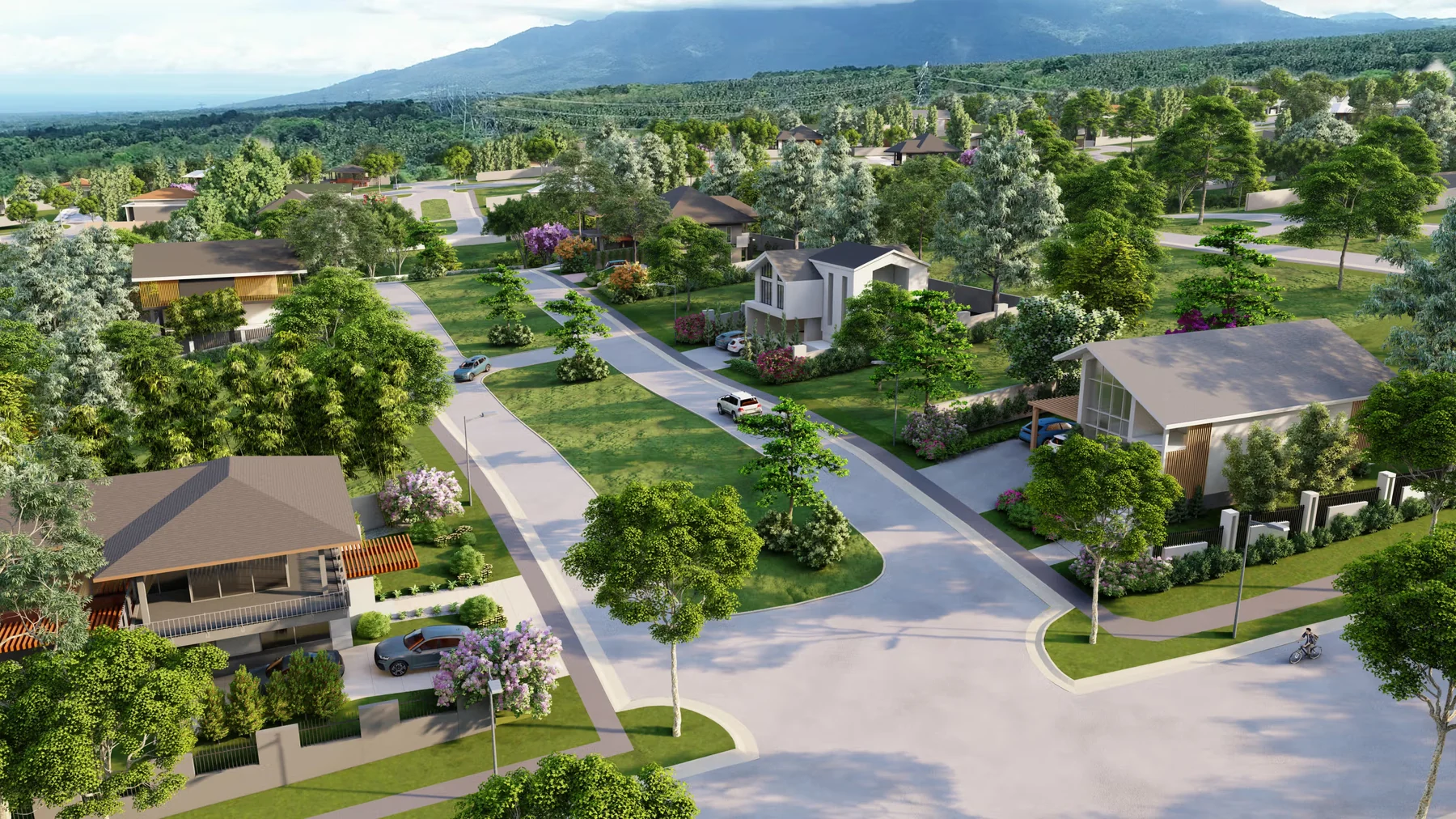 Generous residential streetscape
